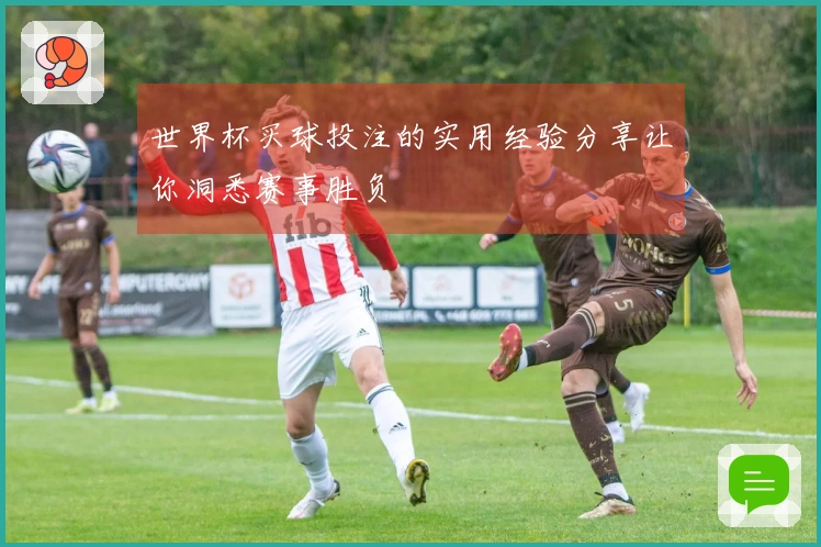 世界杯买球投注的实用经验分享让你洞悉赛事胜负