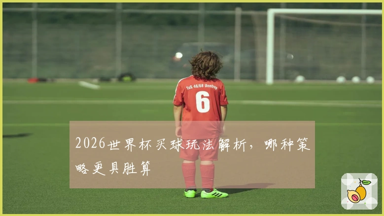 2026世界杯买球玩法解析，哪种策略更具胜算