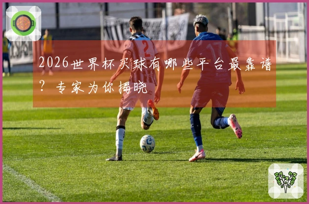 2026世界杯买球有哪些平台最靠谱？专家为你揭晓