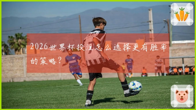 2026世界杯投注怎么选择更有胜率的策略？