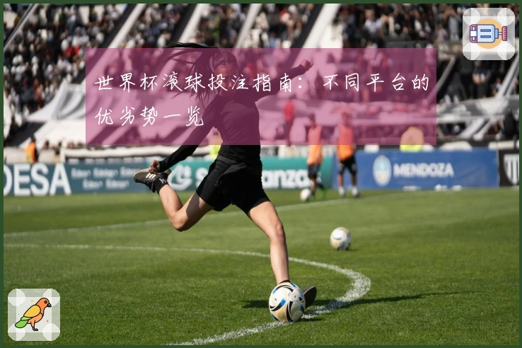 世界杯滚球投注指南：不同平台的优劣势一览