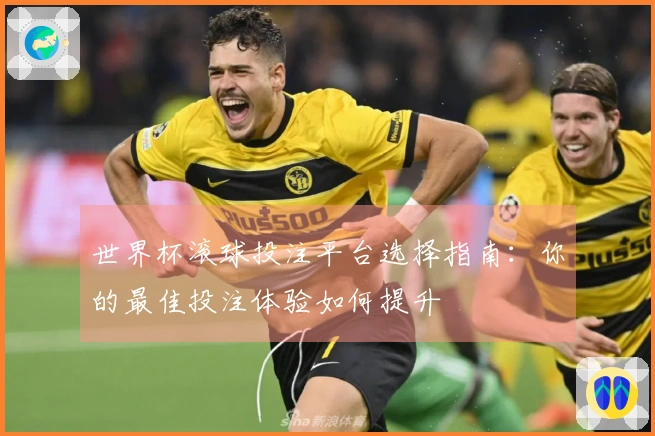 世界杯滚球投注平台选择指南：你的最佳投注体验如何提升