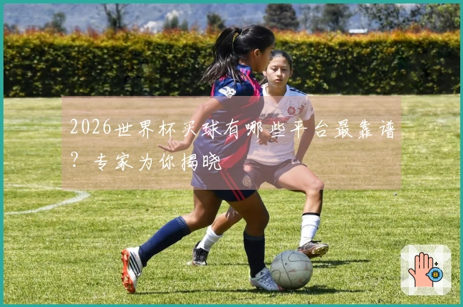 2026世界杯买球有哪些平台最靠谱？专家为你揭晓